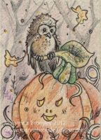 Pumpkin Owl